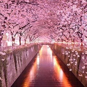 Meet your Posher, Cassie